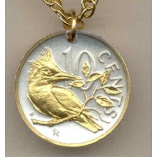 Two Tone Kingfisher Coin With Necklace-n-145