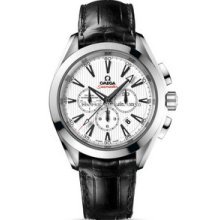 Omega Seamaster Aqua Terra Chronograph Mens Watch 23113445004001