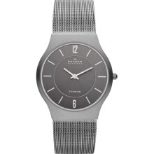 SKAGEN SKAGEN Titanium Mesh Watch