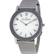 Skagen Stainless Steel Mesh Mens Watch 39LSSS ...