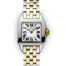 Ladies Two Tone Cartier Santos Demoiselle (813)