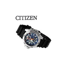 Citizen Promaster Diver AY5000-05l Watch Aqualand Sea