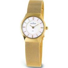 Skagen Watch 233xsgg Rrp Â£110