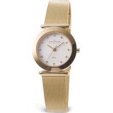 Skagen Womens Steel 107sggd Watch