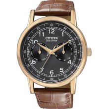 Citizen Eco-Drive Gold-Tone Leather Men's Watch AO9003-08E