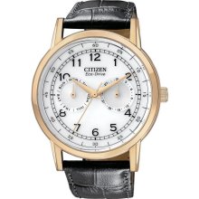 Citizen Eco-Drive Gold-Tone Leather Men's Watch AO9003-16A