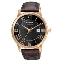 Men's Citizen Eco-Drive Watch with Black Dial (Model: BM6759-03E)