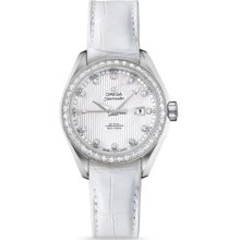 Omega Aqua Terra Ladies Automatic 34mm 231.13.34.20.55.001