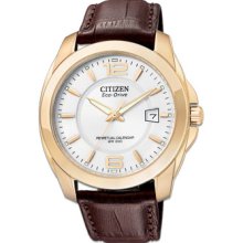 Citizen Eco-Drive Perpetual Calendar Mens Leather Watch