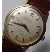 Ray Wolf Men's Swiss Made 17Jwl Automatic Gold Watch w/ Strap