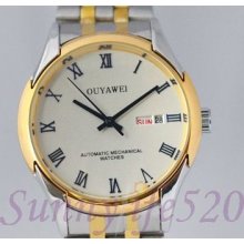 Retro Blue Roman Classic Gold Day Date Men Lady Automatic Mechanical Wrist Watch