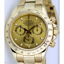 Rolex Mens Daytona Champagne Index 116528 Watch Chest