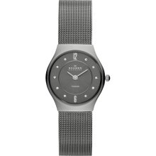 Grey Mesh Titanium Watch