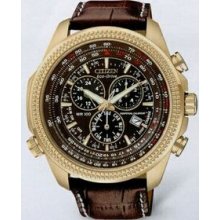 Citizen Eco Drive Men`s Gold/Brown Perpetual Calendar Chronograph Watch