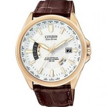 Citizen Mens World Perpetual A-T Watch