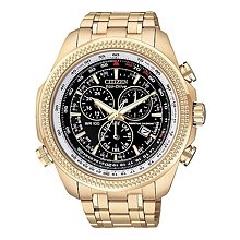 Citizen Pilot's Flight Perpetual Calendar Alarm Chronograph Watches BL5403-54E