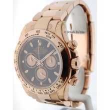 Rolex Daytona 116505 18k Everose Gold Random Numbers Box & Papers