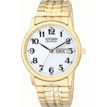 Citizen Men's Eco-Drive Flexible Band Gold-Tone Watch #Bm8452-99A