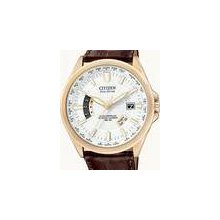 Citizen watch - CB0013-04A Perpetual Calendar Mens