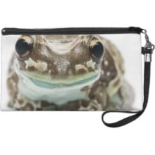 Amazon Milk Frog - Trachycephalus Resinifictrix Wristlet Purses