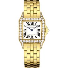 Cartier Santos Demoiselle Unisex Quartz Watch WF9002Y7