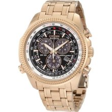 Citizen BL5403-54E Men's BL5403-54E Eco-Drive Perpetual Calendar Chronograph Watch