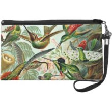 Hummingbirds Trochilidae Haeckel Wristlets