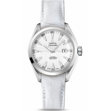 Omega Aqua Terra Ladies Automatic 34mm 231.13.34.20.04.001