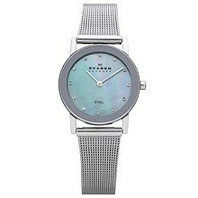 Skagen 2-Hand Steel Mesh Women's watch #39SSSI1