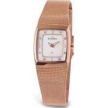 Skagen Watch - Ladies' Stainless - Analog - 380XSRR1