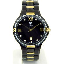 Aqua Master Black Dial Diamond Mens Watch W306 1