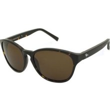 Mens Modern Amusement Ascot W/ Tortoise Brown Uv Sunglasses Glasses $85