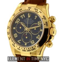 Rolex Daytona 18k Yellow Gold Blue Dial