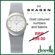 Skagen Ladies Silver Dial And Mesh Bracelet Watch 564xsgsc