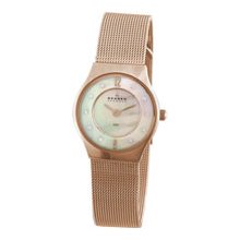 Skagen Steel Classic Mesh Womens Watch - 233XSRR