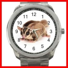 Suger Glider Pet Animals Silvertone Sports Metal Watch 195