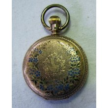 Antique 1884 ELGIN 14k Gold Ladies Hunting Case Pocket Watch Bird Blu