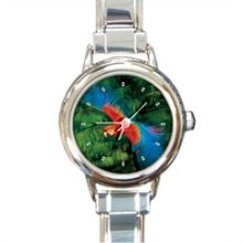 Flying Greenwing Macaw Ladies Watch