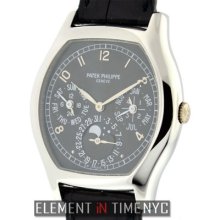 Patek Philippe Complications Perpetual Calendar Moonphase Platinum 5040p B+p