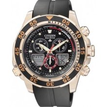 Citizen Promaster Eco-drive Yachting World Time Gold Chrono Watch Jr4046-03e