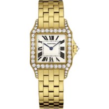 Cartier Santos Demoiselle Women's Watch WF9002Y7