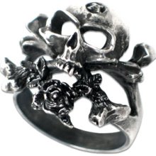 Free Worldwide Shipping Punk Gothic Clothing Alchemy 'Or Philosophy' Gothic Ring