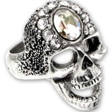 Free Worldwide Shipping Punk Gothic Clothing Alchemy 'Victoria's Glad Rocks' Gothic Ring