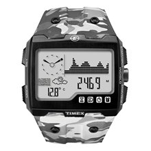 Timex T49841