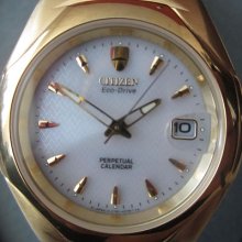 Citizen Eco-drive Men's Watch Quartz Solar Power Perpetual Cal Sapphire Japan