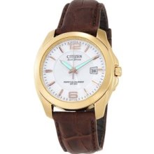 Citizen Eco-Drive Perpetual Calendar Mens Watch BL1223-07A