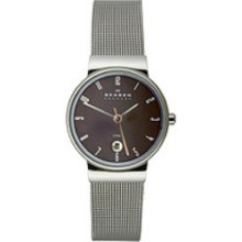 Skagen 2-Hand Steel Mesh Women's watch