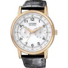 Citizen AO9003-16A Watch Strap Mens - White Dial