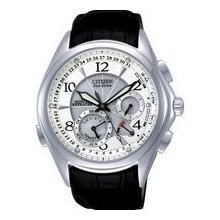 Citizen Minute Repeater Eco Drive Perpetual Calendar BL9000-32A