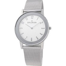 Skagen 2-Hand Steel Mesh Men's watch